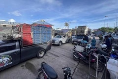Cargo trucks wait at Ban Hat Lek border crossing in Khlong Yai district, Trat, on June 17. (Photo: Bangkokpost)