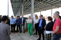 Chairman of the Danish Parliament's Foreign Policy Committee, Michael Aastrup Jensen (third from right), discusses efforts to combat IUU fishing at Thuan An Fishing Port in Hue city. (Photo: VNA)