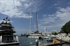 Port of Benoa, Indonesia (Photo: VNA)