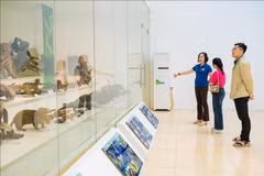 Cuc Phuong Museum promotes nature conservation awareness