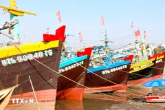Lam Dong steps up oversight to curb IUU fishing