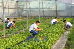 Self-sufficient model reinforces soldiers' readiness