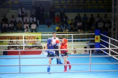 Athletes compete in 28 combat weight categories and eight performance categories (Photo: VNA)