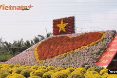 Sa Dec flower hub draws visitors ahead of Tet 2026 