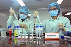 Organisations and individuals engaging in public-private partnerships for scientific research, technological development, innovation, and digital transformation are eligible for various forms of State incentives and support. (Illustrative photo: VNA)