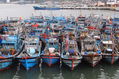 Da Nang moves towards eliminating IUU violations