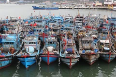 Da Nang moves towards eliminating IUU violations