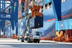 Laoding goods at the Gemalink port in Ba Ria-Vung Tau province. (Photo: VNA).