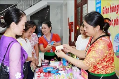 Safe contraceptive methods are introduced in Nghe An province. (Photo: VNA)