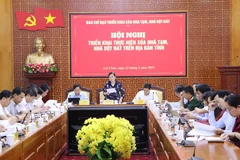At the conference (Photo: VNA)