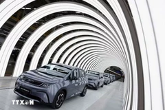 Electric vehicles inside BYD's factory in Rayong, Thailand. (Photo: Reuters/VNA)
