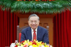 Vietnamese, Cuban Party leaders reaffirm special friendship in phone talks