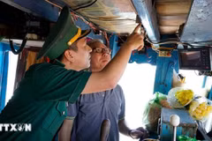 Gia Lai steps up communication on new IUU fishing regulations