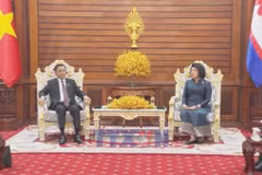 Vietnam, Cambodia step up parliamentary ties, reaffirm enduring solidarity