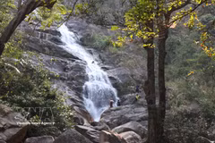 Thac Lua Waterfall captivates with pristine beauty 