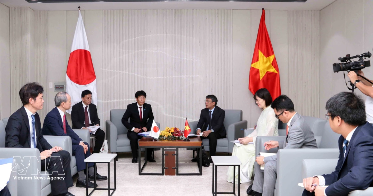 Vietnam, Japan expand cooperation in various fields