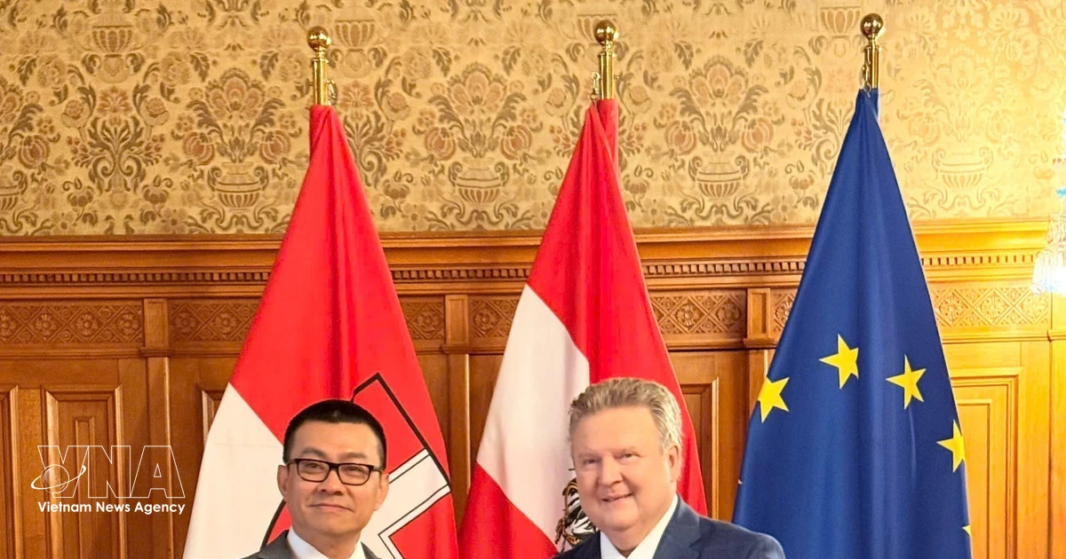 Vienna eyes stronger cooperative ties in various fields with Vietnam