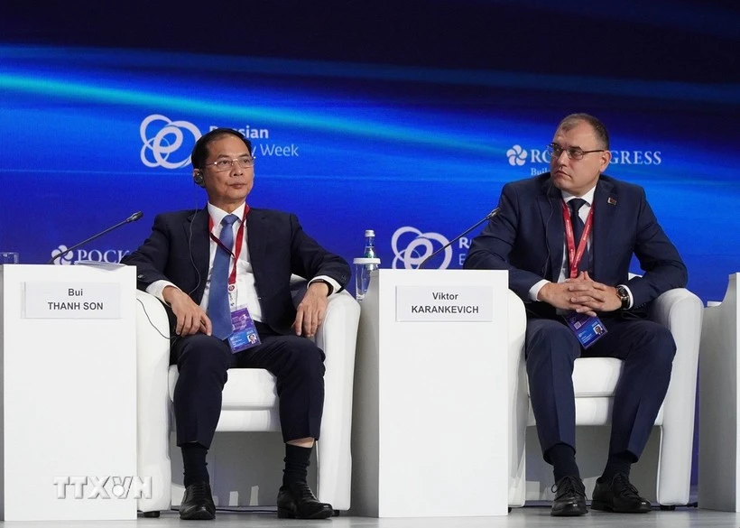 Energy – cornerstone of peace and development: Deputy PM