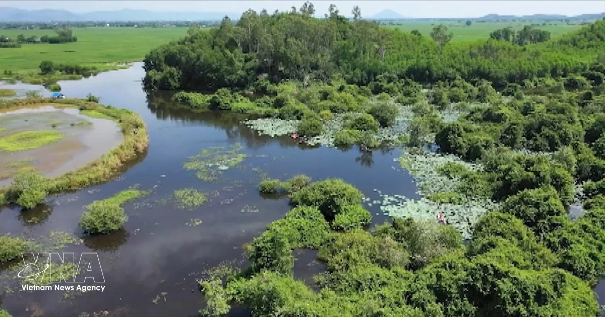 Community tourism breathes new life into Bau Da wetland forest