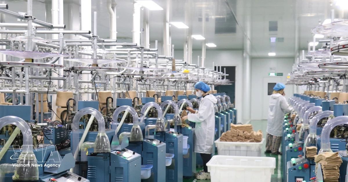 Seven-month economy stays on growth track, eyes double-digit expansion