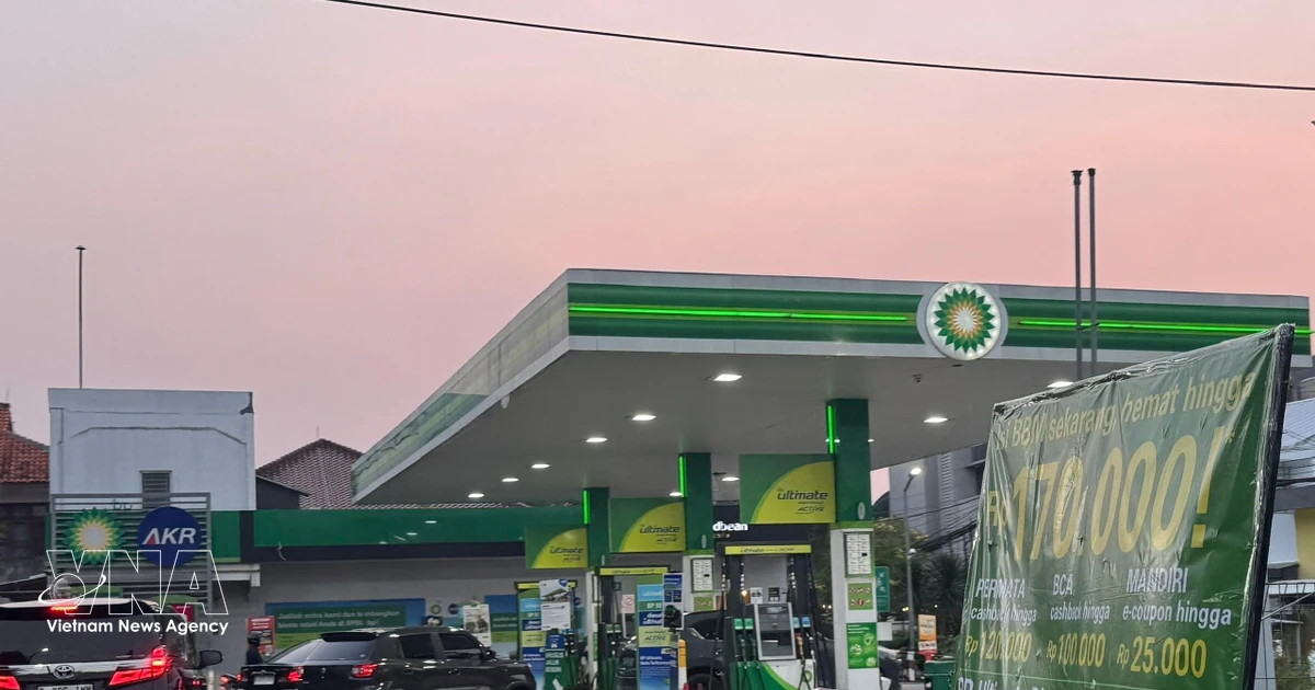 Indonesia develops financing mechanism for biofuel programme
