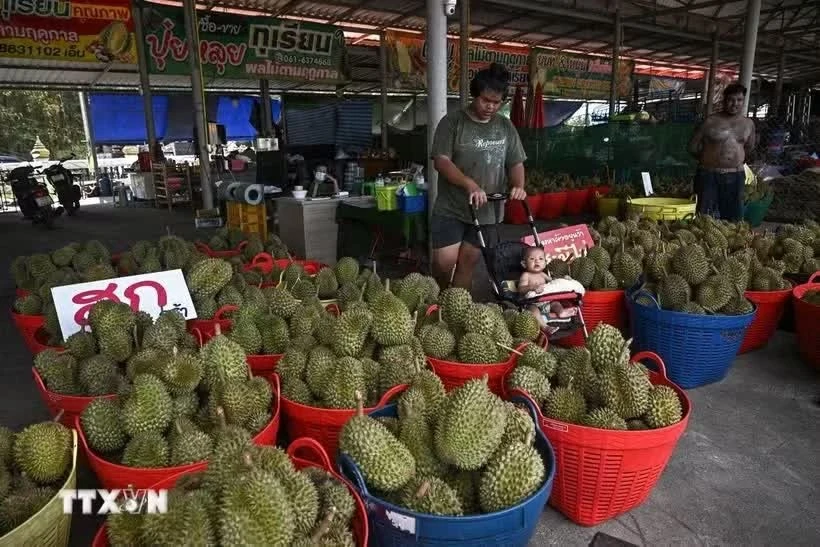 Indonesia, Thailand target 20 bln USD in two-way trade by 2030