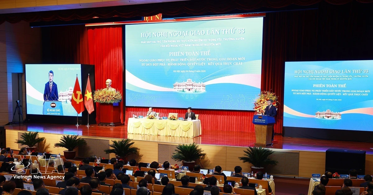 Vietnam's diplomacy shows resilience, self-reliance, responsibility: Ambassadors