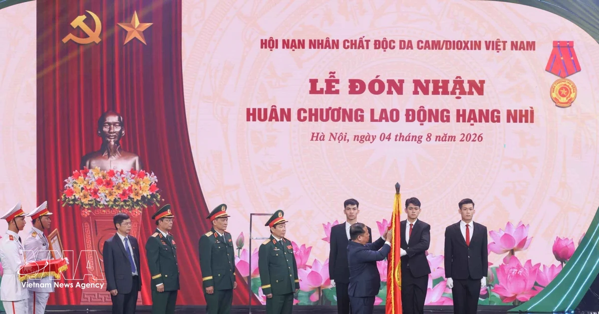 Vietnam Association for Victims of Agent Orange/Dioxin awarded second-class Labour Order