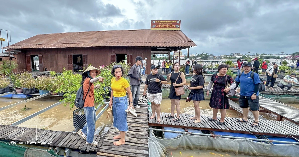 Experts recommend tourism workforce overhaul amid digital, green transition