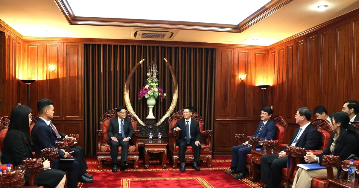 Deputy Prime Minister receives former Singaporean Deputy PM