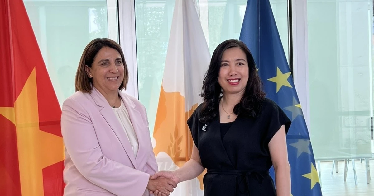 Deputy Foreign Minister Le Thi Thu Hang (R) meets with Irene Piki, Deputy Minister to the President of Cyprus. (Photo: The Ministry of Foreign Affairs). 