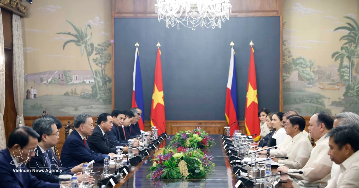 Vietnam’s resilience inspires Philippines: former diplomat