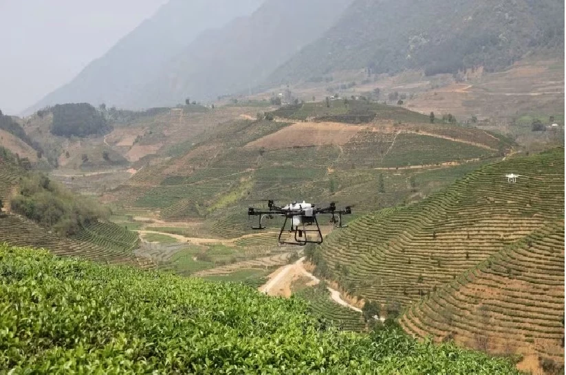 New growth drivers offer Vietnam's agriculture chance to accelerate