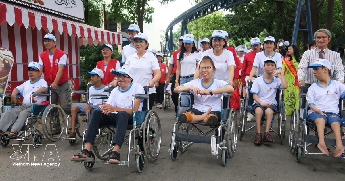 Vietnam steps up efforts to protect rights of persons with disabilities