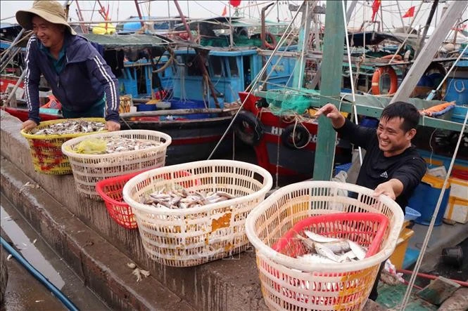 Ngoc Hai fishing port in Hai Phong city (Photo: VNA)