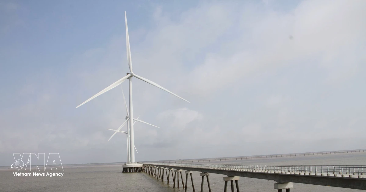 French professor suggests sustainable energy transition path for Vietnam