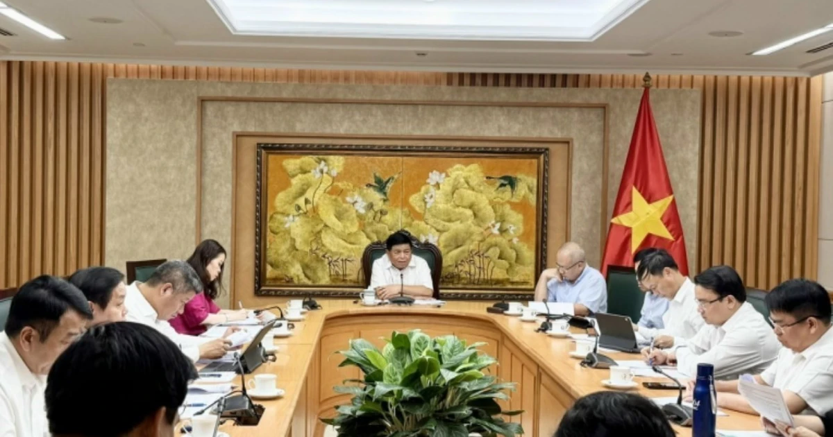 Deputy Prime Minister Nguyen Chi Dung (C) speaks at the meeting (Photo: VNA)