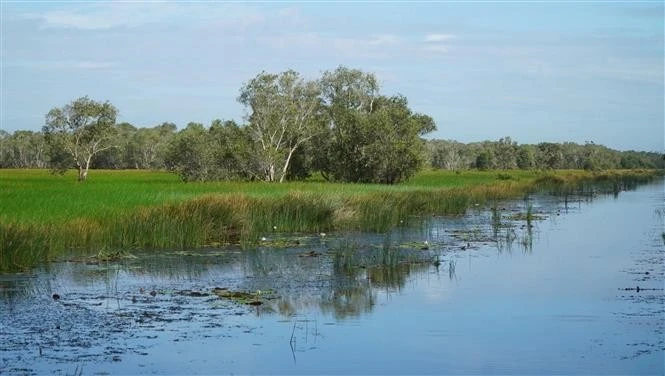 Reviving the wetlands of Tram Chim National Park