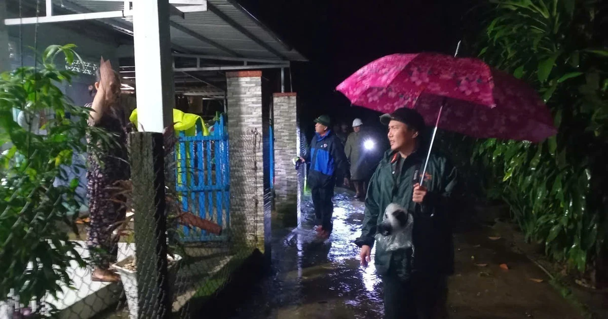 Vice Chairman of the People's Committee of Da Nang Tran Nam Hung inspects flood-hit areas in Tra My commune (Photo: VNA)