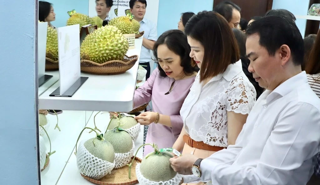 Traceability emerges as protective shield for Vietnam’s exports