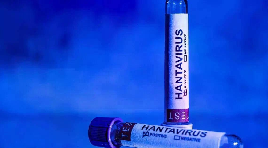 Hantavirus classified as “dangerous communicable disease” in Thailand