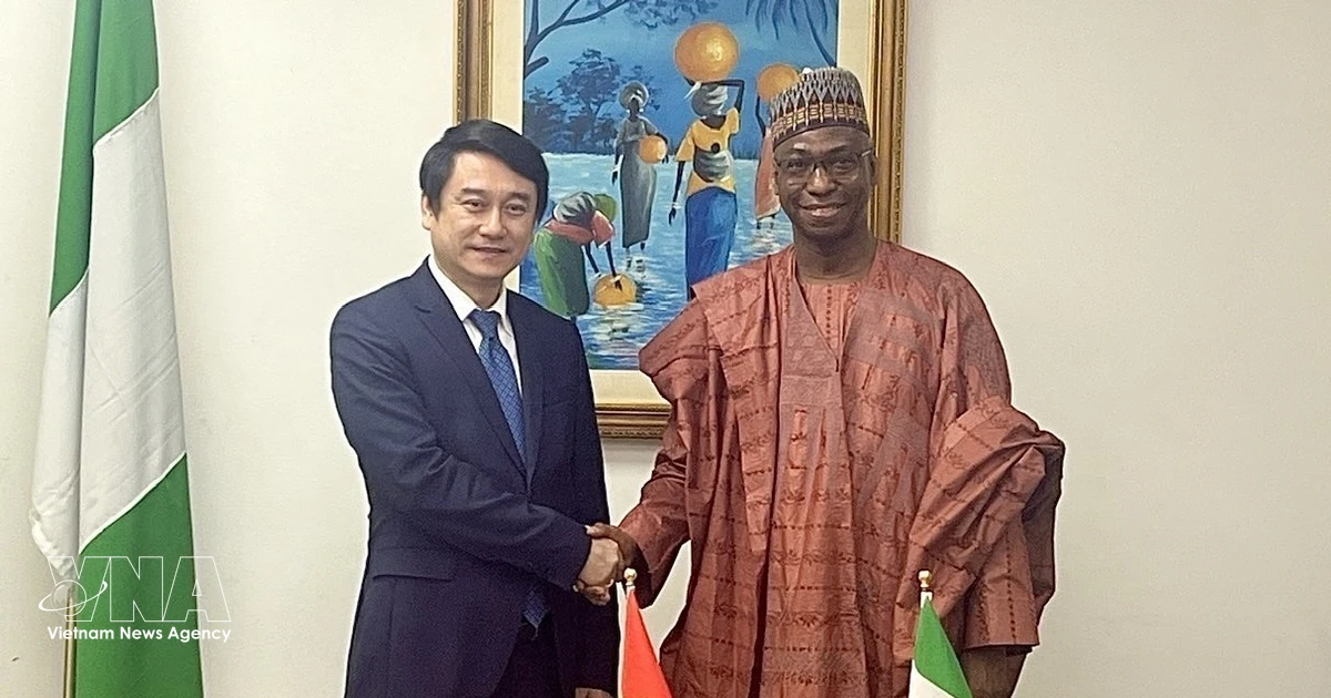 Vietnam seeks closer ties with West African nations