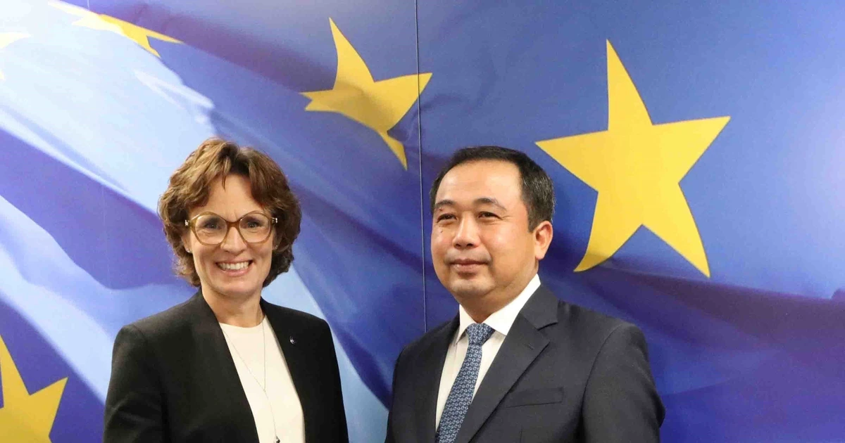 Vietnam seeks stronger cooperation with EU, Belgium in environment, sustainable development