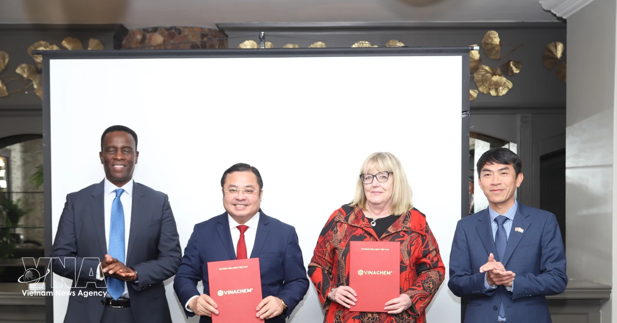 Vietnam Chemicals Group steps up trade promotion in South Africa
