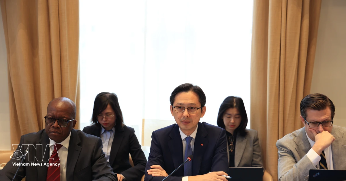 Vietnam chairs consultations in preparation for 11th NPT Review Conference