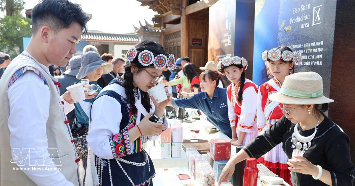 Vietnam, China strengthen coffee cooperation, opening new opportunities in Yunnan