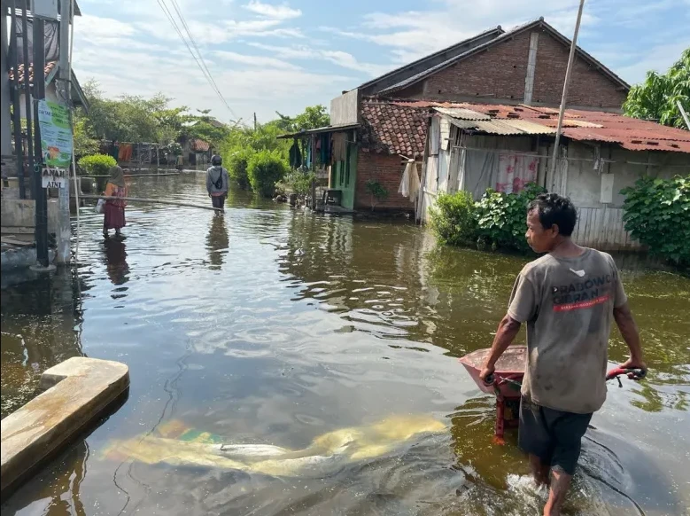 Indonesia promotes 600-km seawall project to tackle climate change