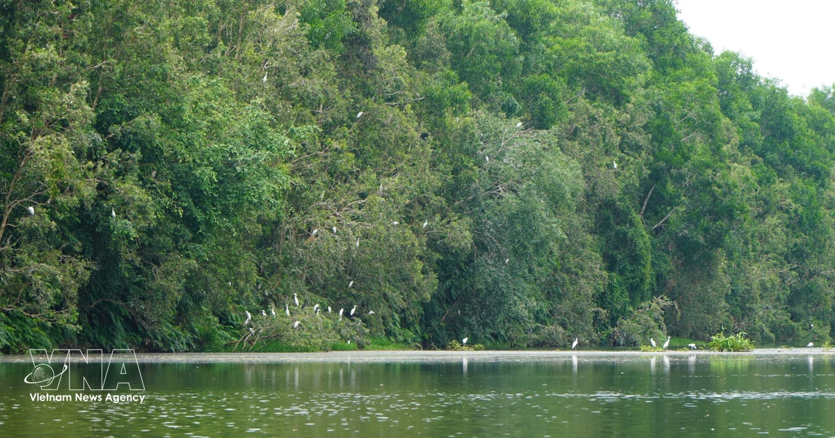 Local initiatives drive Vietnam’s push to protect biodiversity for sustainable future