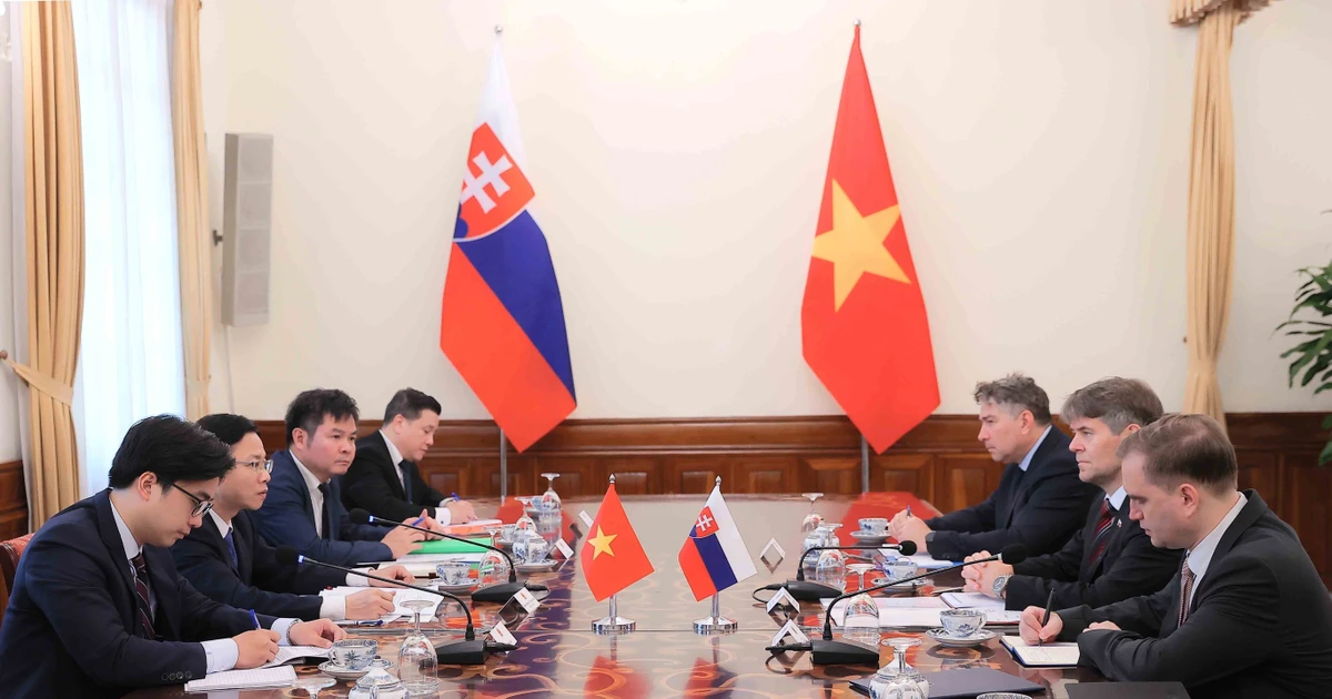 Vietnamese Deputy Minister of Foreaign Affairs Ngo Le Van and Marek Estok, Secretary of State at the Ministry of Foreign and European Affairs of Slovakia co-chair the Viet Nam - Slovalia political consultation in Ha Noi on July 9. (Photo: VNA) 