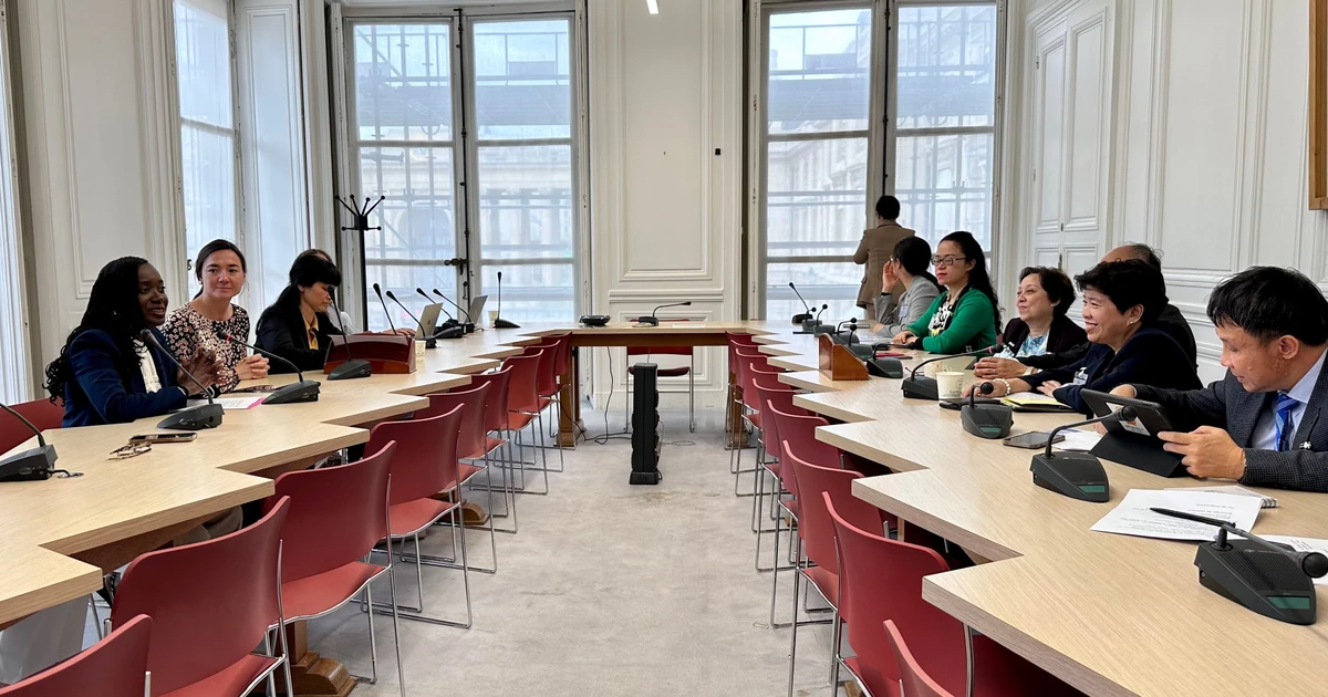 At the working session with Thani Mohamed Soilihi, Minister Delegate for Francophonie and International Partnerships under the French Ministry for Europe and Foreign Affairs. (Photo: VNA)